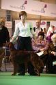 Crufts2010 1922